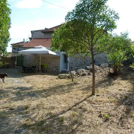 Villa Dalmatian Stone House Angela Drniš